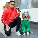 Capa de Chuva Pet Dinossauro Sapinho para Cachorro