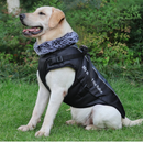 Jaqueta Refletiva Impermeável com Gola