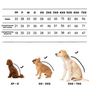 Capa de Chuva Pet Dinossauro Sapinho para Cachorro