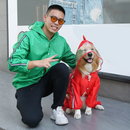 Capa de Chuva Pet Dinossauro Sapinho para Cachorro