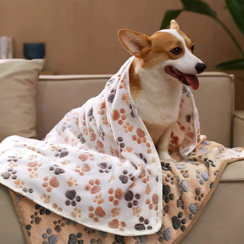 Manta Cobertor Carneirinho para Pets