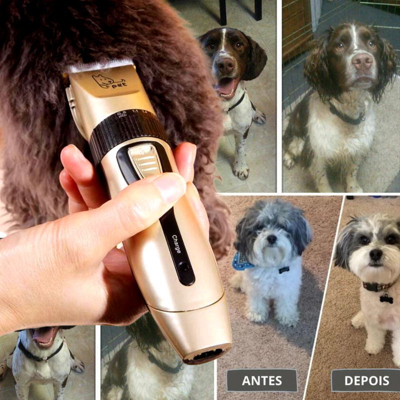 Máquina De Tosa Pet Recarregável para Cães e Gatos