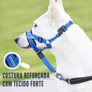 Coleira Anti Latido Focinheira para Treinamento Adestramento de Cachorros