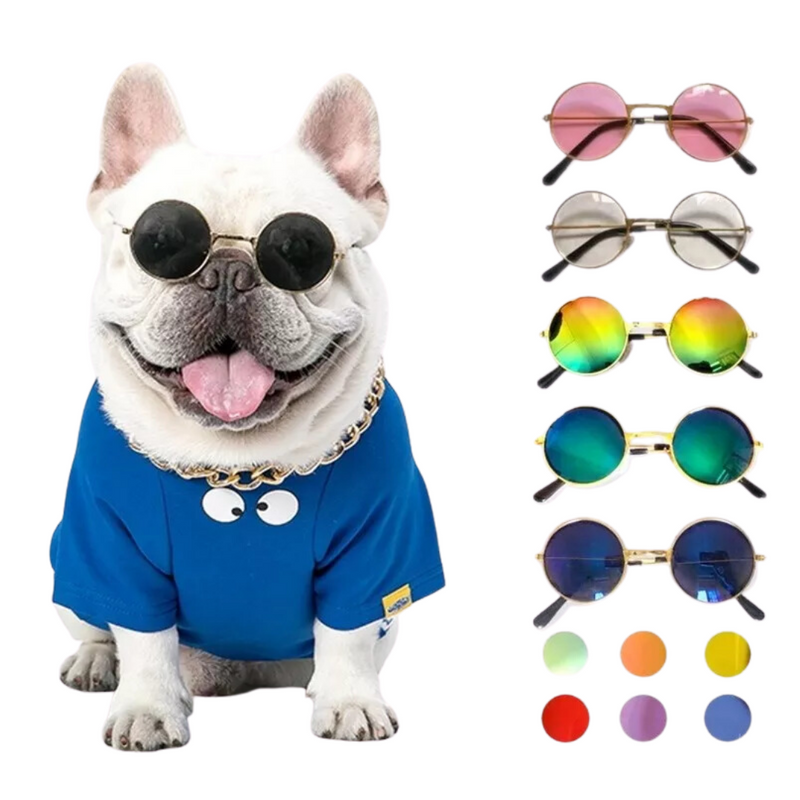 Óculos Pet Aviador para Cães e Gato Pequenos Cores Sortidas