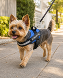 Peitoral Para Cachorros Ajustável com Nome Personalizável