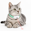 Coleira Laser Inteligente para Gatos Brinquedo Interativo Automático Recarregável USB