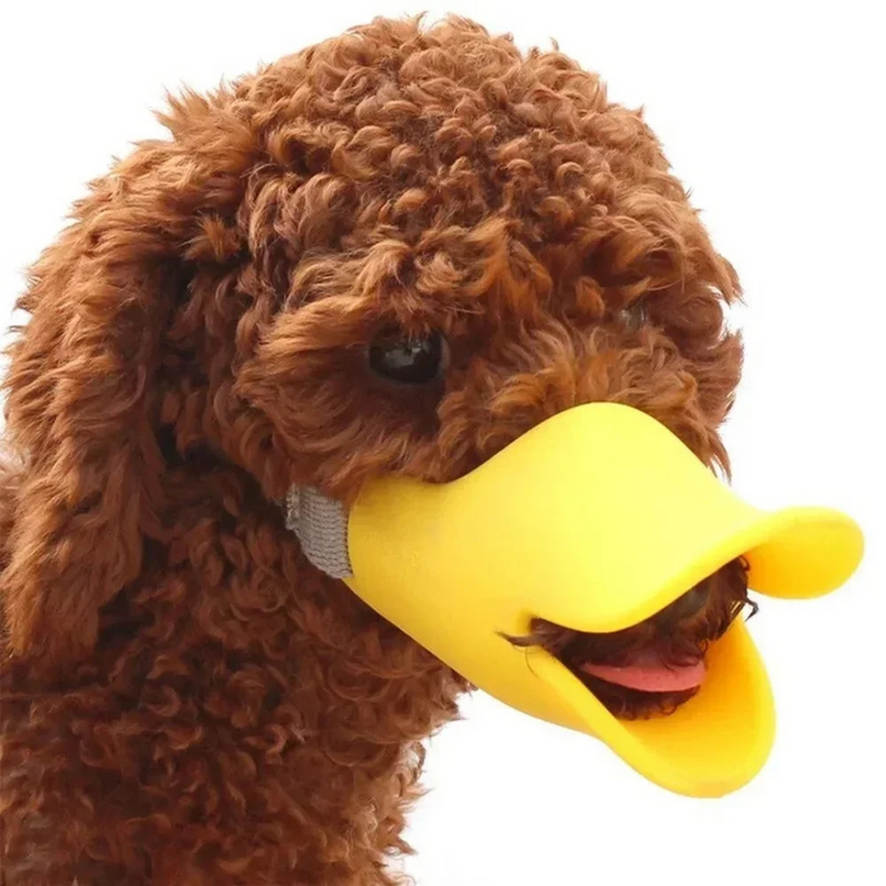 Focinheira de Silicone Bico de Pato para Cachorros de Pequeno e Médio Porte