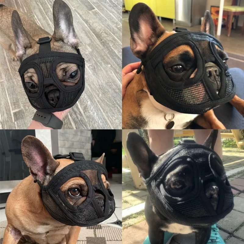 Focinheira para Buldogue Pug Braquicefálicos Tecido Respirável