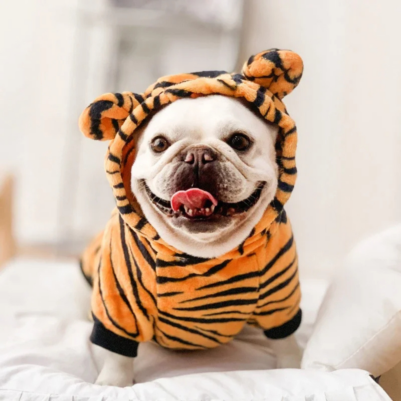 Fantasia Pet Quentinha Dinossauro Tigre Zebra