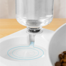 Comedouro e Bebedouro Ergonômico Elevado Tigela Dupla para Cães e Gatos