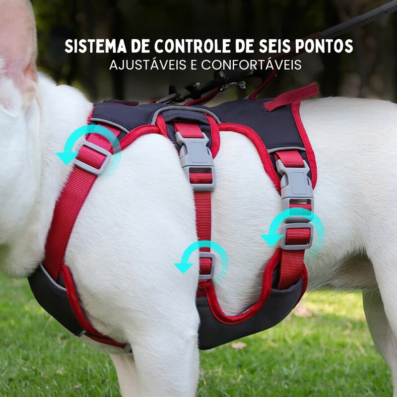 Coleira Peitoral para Cachorros Refletiva e Ajustável em 6 Pontos