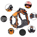 Coleira Peitoral Arnês para Cachorro Pequeno e Grande Porte