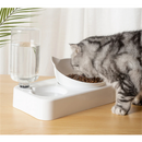 Comedouro e Bebedouro Ergonômico Elevado Tigela Dupla para Cães e Gatos