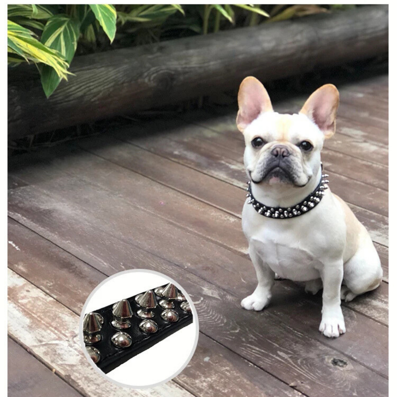 Coleira de Couro Spikes Cravejada para Cães