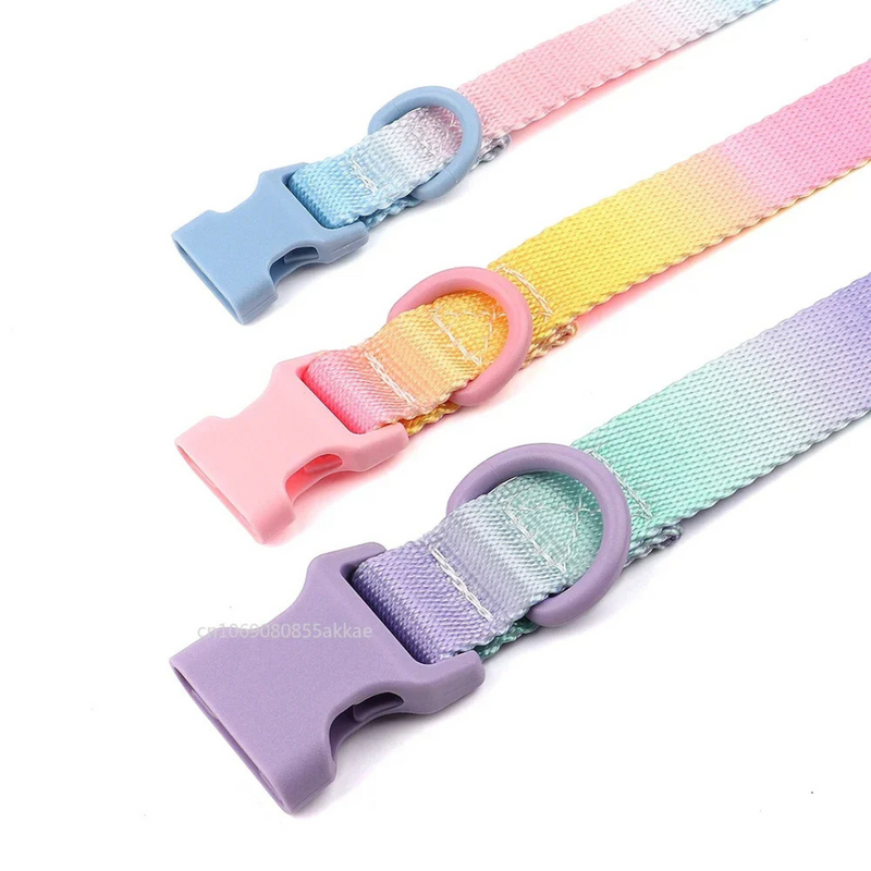 Coleira Colar Nylon Colorida para Cachorros