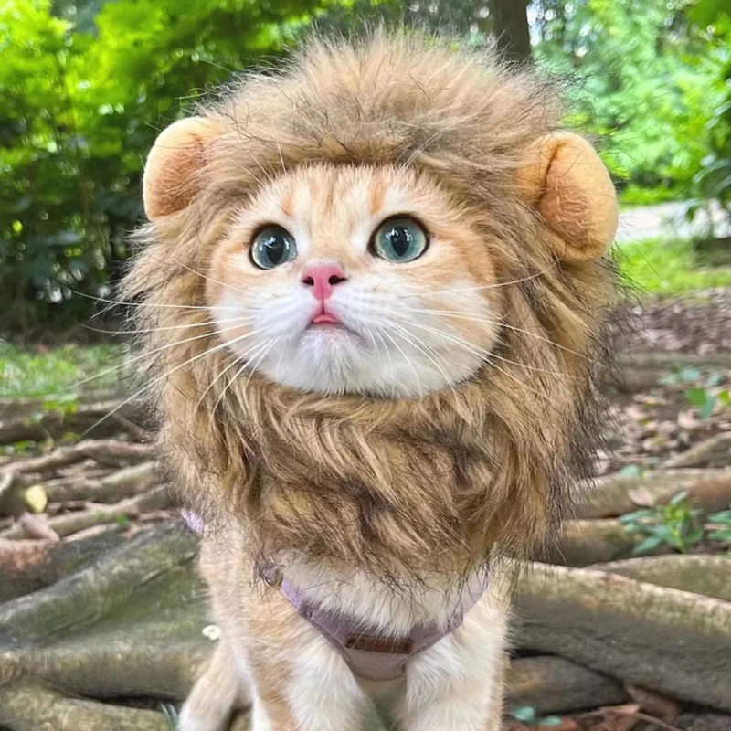 Juba de Leão Peruca Fantasia para Gato