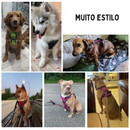 Coleira Peitoral Arnês para Cachorro Pequeno e Grande Porte