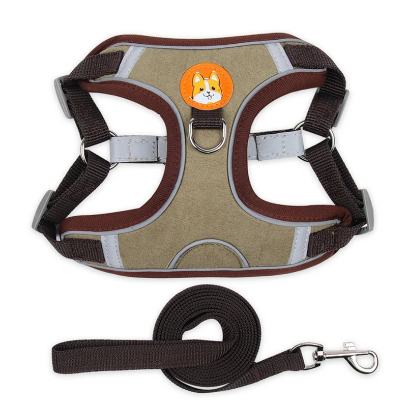 Coleira Peitoral Colorido + Guia de Brinde para Cães de Pequeno Porte