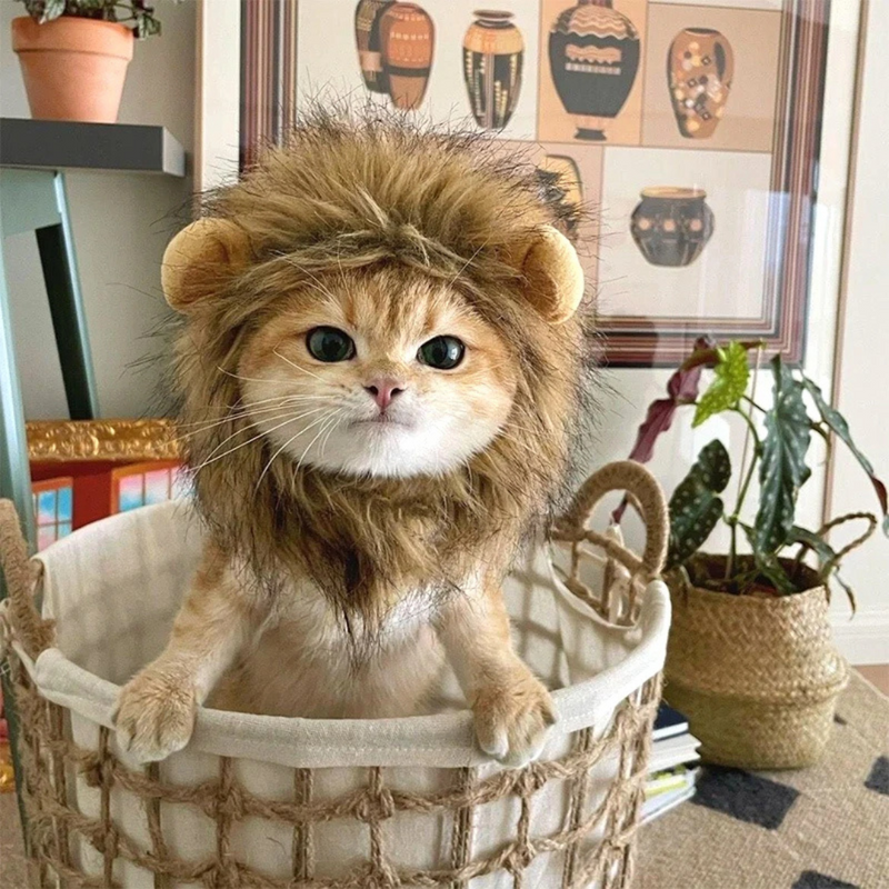 Juba de Leão Peruca Fantasia para Gato