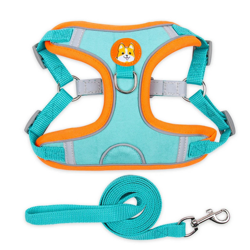 Coleira Peitoral Colorido + Guia de Brinde para Cães de Pequeno Porte