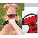 Coleira Peitoral Ajustável com 2 Fivelas para Guias