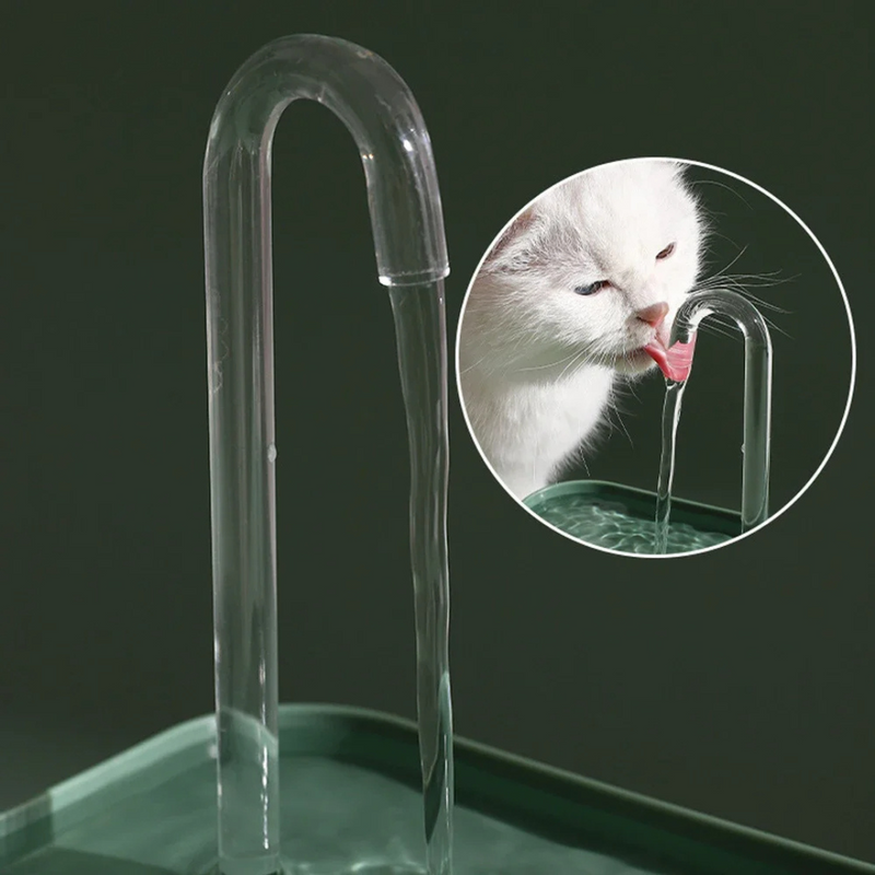 Fonte Bebedouro para Gatos com Filtragem Automática