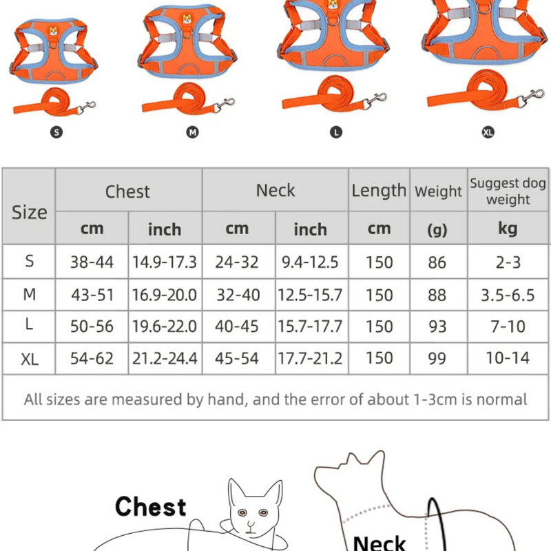 Coleira Peitoral Colorido + Guia de Brinde para Cães de Pequeno Porte