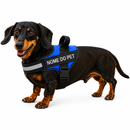 Peitoral Para Cachorros Ajustável com Nome Personalizável