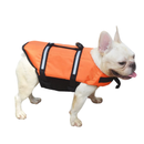 Colete Pet Salva Vidas Natação para Cachorro
