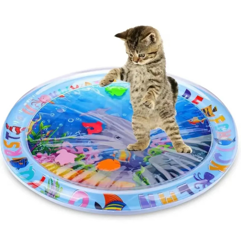 Piscina Tapete Inflável de Água Sensorial Resfriado para Cães e Gatos