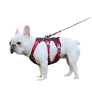 Coleira Peitoral para Cachorros Refletiva e Ajustável em 6 Pontos