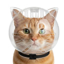 Capacete Protetor Transparente para Gatos | Anti Mordidas, Banho, Tosa e Corte de Unhas