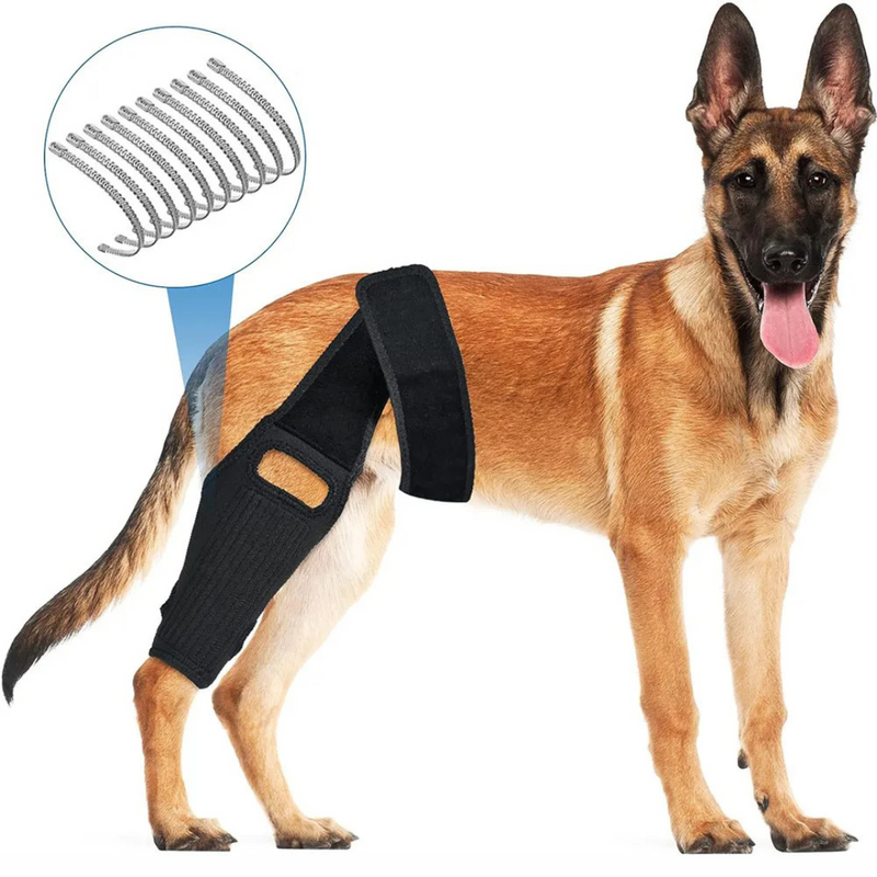 Cinta Suporte para Articulação e Joelho de Cachorros com Dificuldade de Caminhar