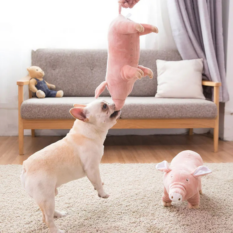 Brinquedo Porco Pelúcia Porquinho Realista para Cachorros