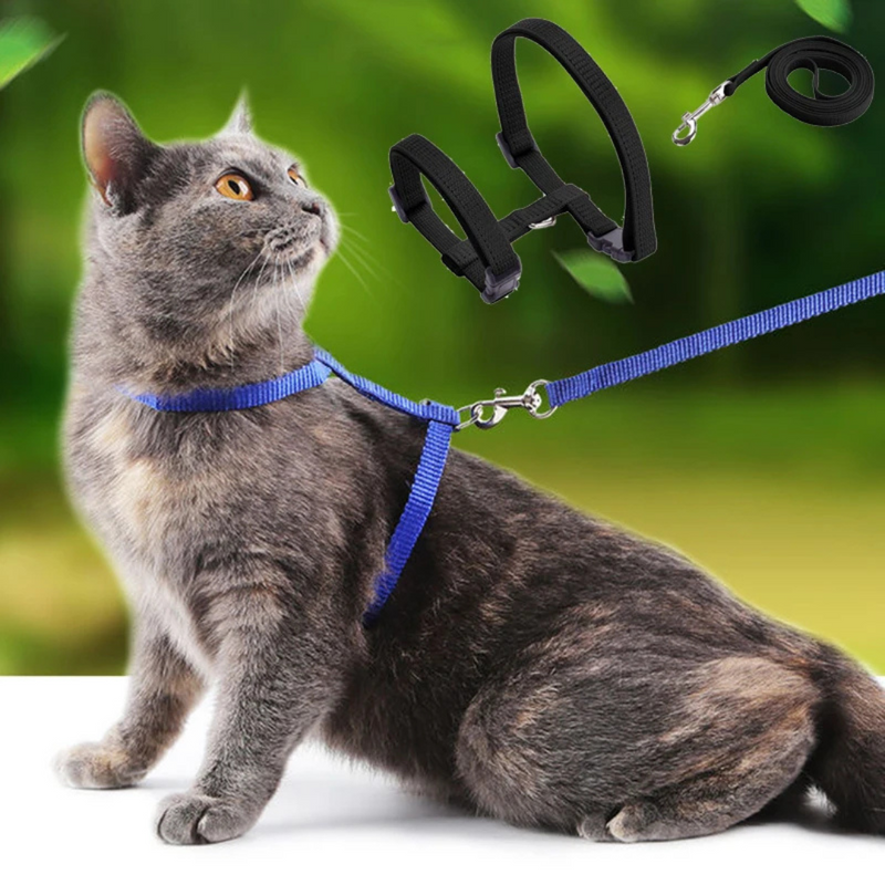 Coleira Peitoral para Gato Ajustável com Guia