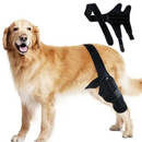 Joelheira Suporte Ortopédico para Cachorros com Lesões Dificuldade de Andar