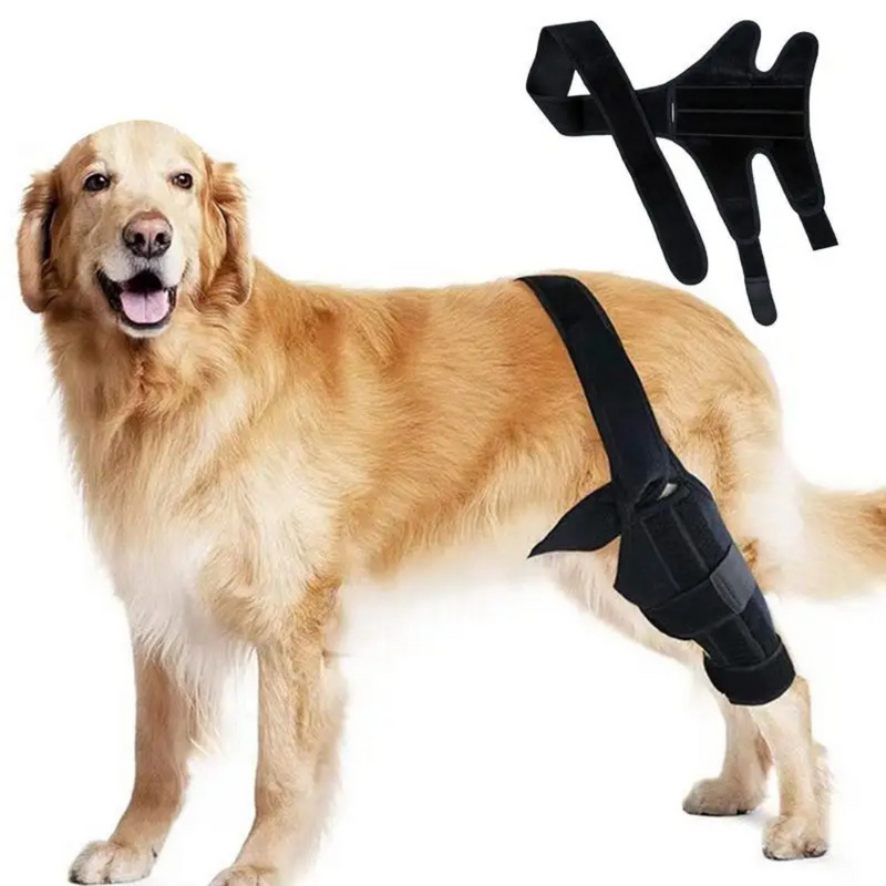 Joelheira Suporte Ortopédico para Cachorros com Lesões Dificuldade de Andar