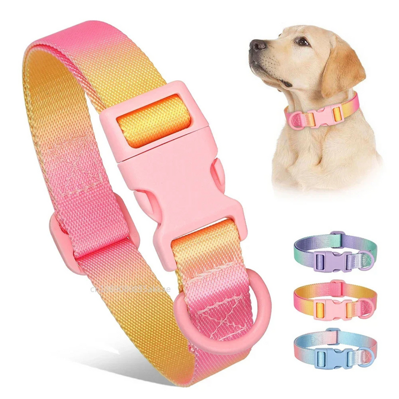 Coleira Colar Nylon Colorida para Cachorros