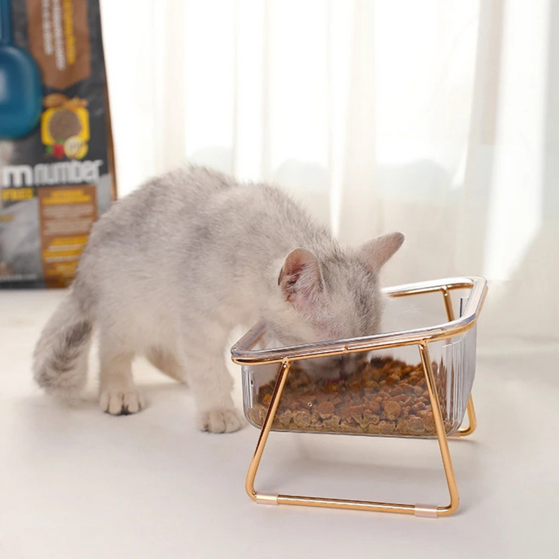 Conjunto Bebedouro e Comedouro de Acrílico para Cães e Gatos