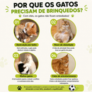 Campo de Futebol Interativo para Gatos com Sensor de Movimento