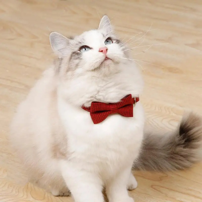 Coleira Gravatinha Pet Colar Lacinho Borboleta para Cães e Gatos