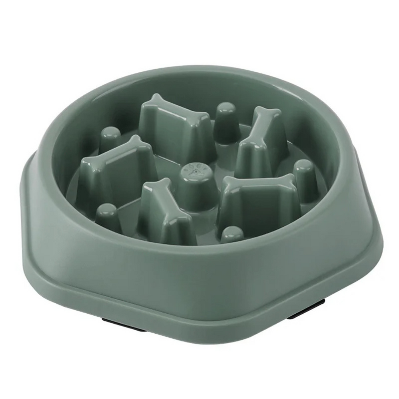 Comedouro Lento para Cães e Gatos Anti Engasgo