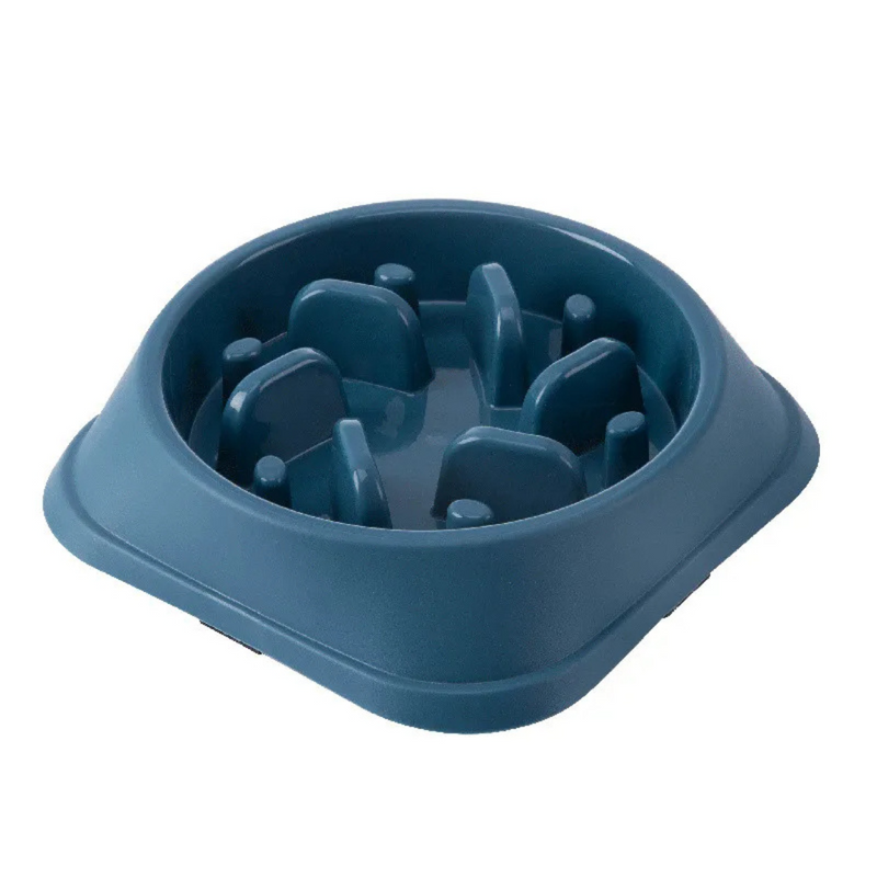 Comedouro Lento para Cães e Gatos Anti Engasgo