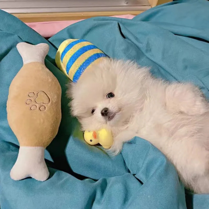 Mini Pelúcia Pet Brinquedo de Apego para Cães e Gatos