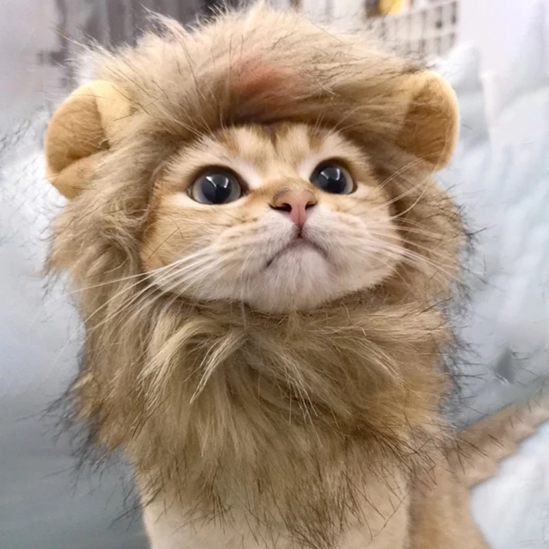 Juba de Leão Peruca Fantasia para Gato