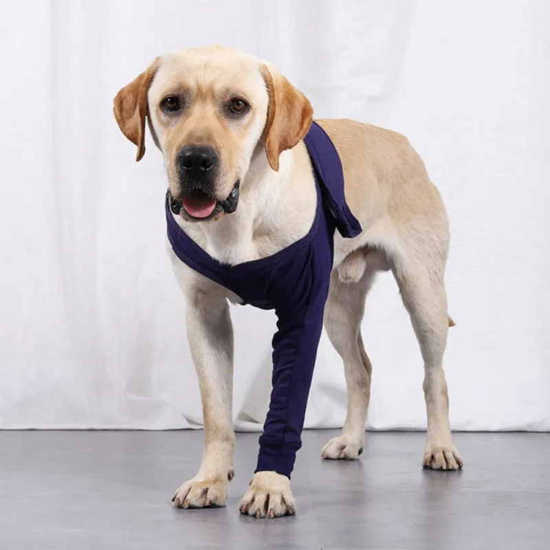 Cinta Suporte Ortopédico Patas Dianteiras para Recuperação de Cachorros