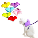 Peitoral Coleira Asas de Anjo com Guia para Gatos e Cães