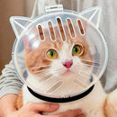 Capacete Protetor Transparente para Gatos | Anti Mordidas, Banho, Tosa e Corte de Unhas