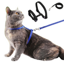 Coleira Peitoral para Gato Ajustável com Guia