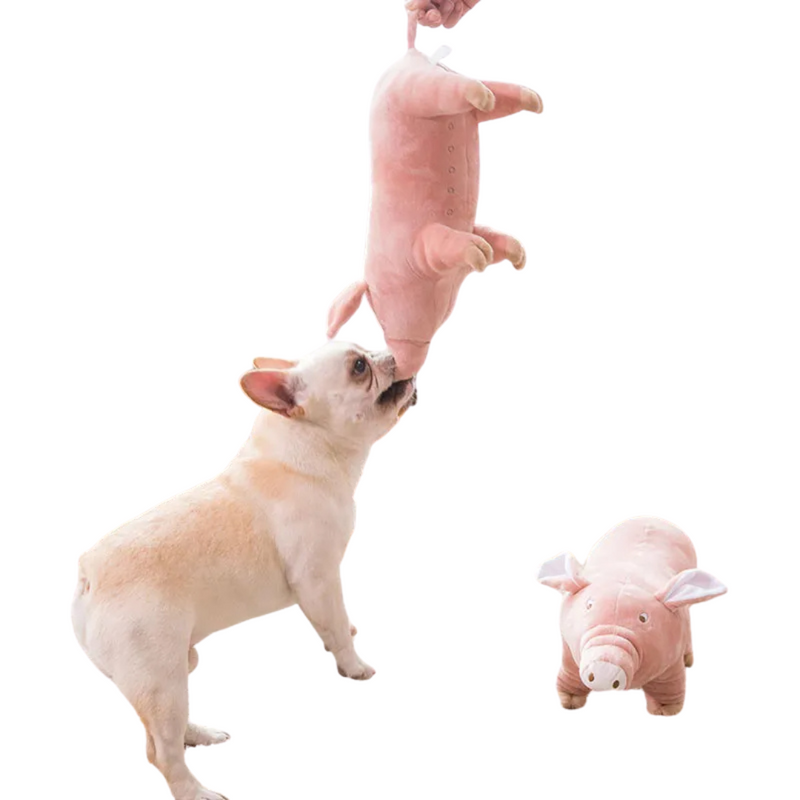 Brinquedo Porco Pelúcia Porquinho Realista para Cachorros